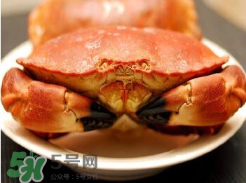 熟凍面包蟹怎么解凍？熟凍面包蟹要怎么清洗
