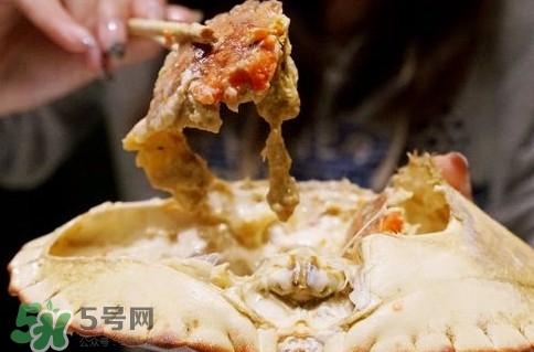 面包蟹什么季節(jié)吃最好？面包蟹什么時(shí)候最有黃