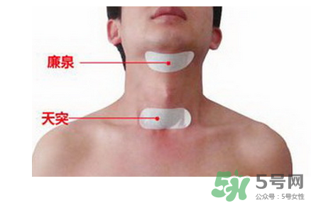 三伏貼貼在什么位置？三伏貼貼哪里？