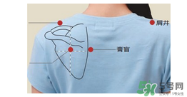 三伏貼貼在什么位置？三伏貼貼哪里？