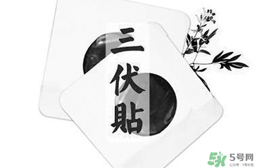 貼三伏貼注意事項 貼三伏貼要注意什么？