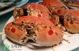 面包蟹什么季節(jié)吃最好？面包蟹什么時(shí)候最有黃