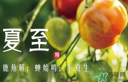 夏至是什么意思？夏至的習(xí)俗有哪些