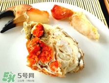 面包蟹是黃道蟹嗎？黃道蟹和面包蟹一樣嗎