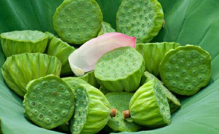 新鮮蓮子什么時(shí)候有？新鮮蓮子幾月有？