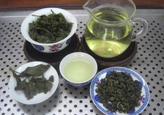 杜仲茶哪些人不適宜喝？杜仲茶飲用注意事項(xiàng)