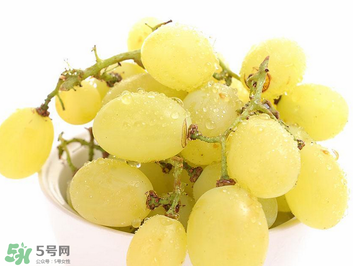 馬奶葡萄什么時(shí)候上市？馬奶葡萄2017上市時(shí)間