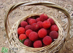 煮楊梅汁需要煮多長(zhǎng)時(shí)間？楊梅汁怎么煮？