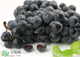 無籽葡萄孕婦能不能吃？無籽葡萄和葡萄的區(qū)別