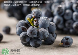 無籽葡萄孕婦能不能吃？無籽葡萄和葡萄的區(qū)別