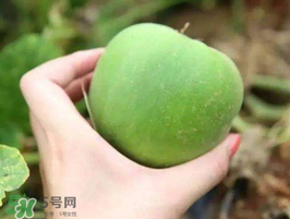 梨瓜是熱性還是涼性？梨瓜是酸性還是堿性？