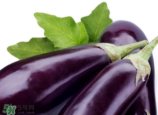 茄子怎么挑選？如何挑選茄子？