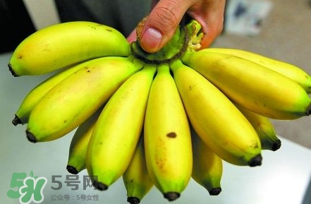 芭蕉不熟可以吃嗎？芭蕉怎么催熟