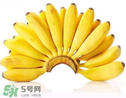 芭蕉是香蕉嗎？芭蕉和香蕉的區(qū)別