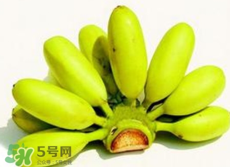 芭蕉是香蕉嗎？芭蕉和香蕉的區(qū)別