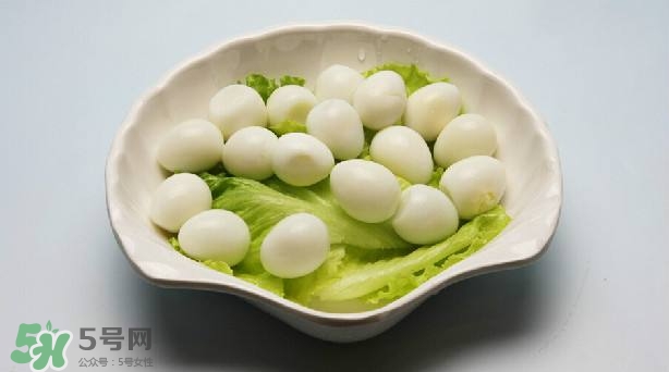鵪鶉蛋和雞蛋哪個營養(yǎng)價(jià)值高？鵪鶉蛋怎么選購？