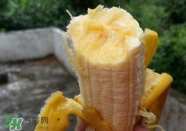 芭蕉是熱性還是涼性？芭蕉是熱性還是寒性？