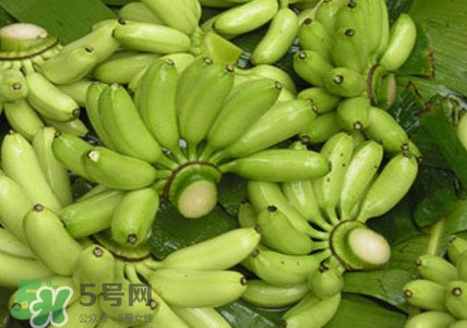 芭蕉如何保存時(shí)間久？青芭蕉摘下來怎么保存