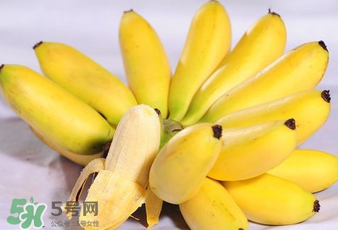 芭蕉是熱性還是涼性？芭蕉是熱性還是寒性？