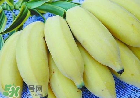芭蕉和香蕉哪個(gè)貴？芭蕉和香蕉哪個(gè)好