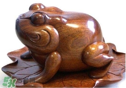蟾蜍有什么寓意？為什么蟾蜍被寓意為招財(cái)？