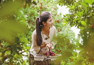 仙居楊梅在哪里？仙居楊梅哪里最好？
