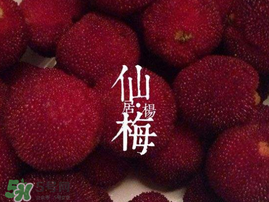 仙居楊梅多少錢(qián)一斤？仙居楊梅多少錢(qián)一斤2017？