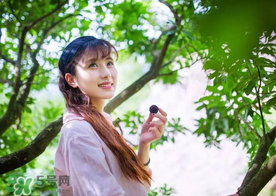 仙居楊梅在哪里？仙居楊梅哪里最好？