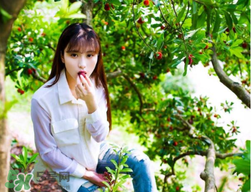 仙居楊梅在哪里？仙居楊梅哪里最好？
