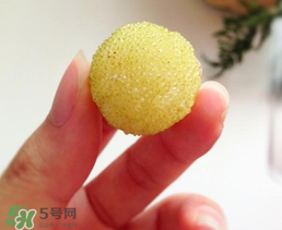 白楊梅多少錢一斤？白楊梅產(chǎn)地
