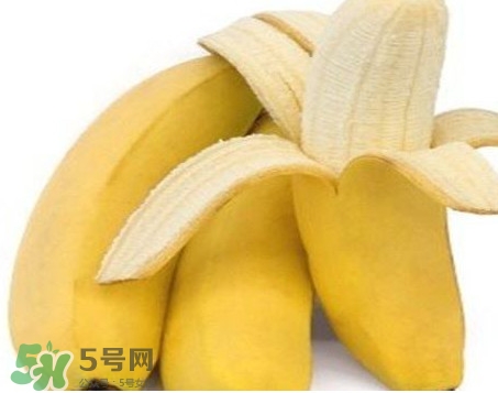 皇帝蕉多少錢一斤？2017皇帝蕉價格