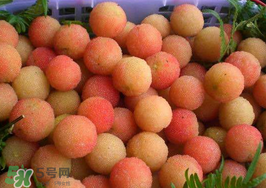白楊梅可以泡酒嗎？白楊梅泡酒有什么功效？