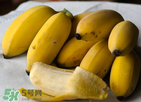皇帝蕉是不是香蕉？皇帝蕉與普通香蕉區(qū)別