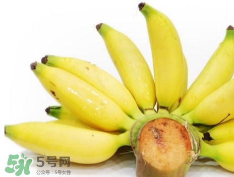 皇帝蕉是轉(zhuǎn)基因的嗎？皇帝蕉產(chǎn)地是哪里？