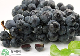 無籽葡萄有哪些品種？無籽葡萄多少錢一斤？