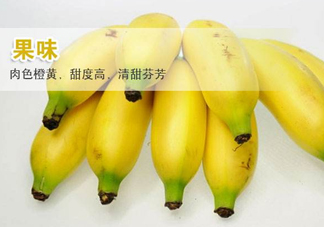 皇帝蕉多少錢一斤？2017皇帝蕉價格