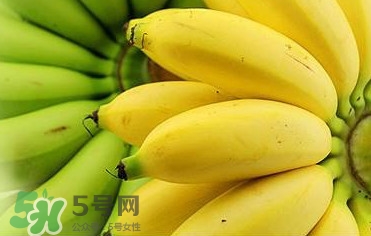 帝王蕉多少錢一斤？帝王蕉是轉(zhuǎn)基因香蕉嗎