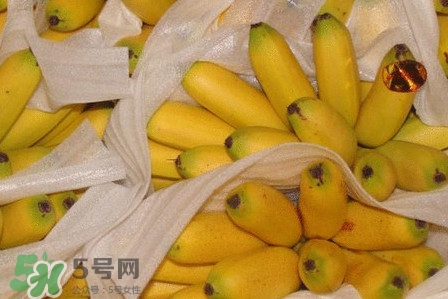 皇帝蕉是不是香蕉？皇帝蕉與普通香蕉區(qū)別