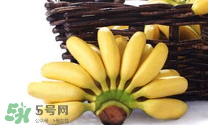 帝王蕉是芭蕉嗎？帝王蕉和芭蕉的區(qū)別