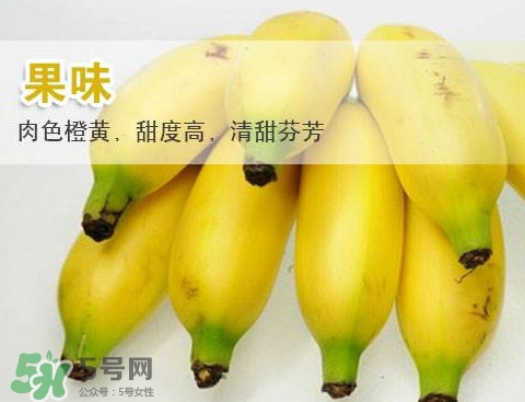 皇帝蕉多少錢一斤？2017皇帝蕉價格