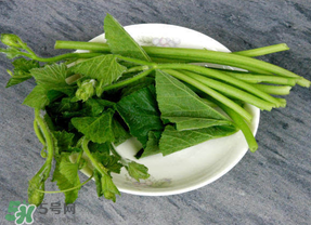 南瓜葉怎么處理？南瓜葉怎么炒？