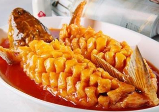 松鼠魚是哪里的菜？松鼠魚是什么菜系？
