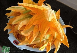 南瓜花有什么作用？南瓜花的作用及禁忌