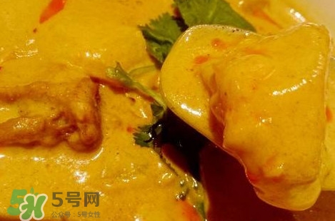 咖喱到底是什么物質(zhì)？咖喱是植物嗎