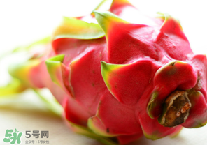七月份可以種火龍果嗎？火龍果什么時候種植？