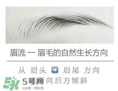 好看的眉形圖片 四種眉形畫(huà)法教程