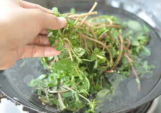 螞蚱菜能生吃嗎？螞蚱菜可以生吃嗎