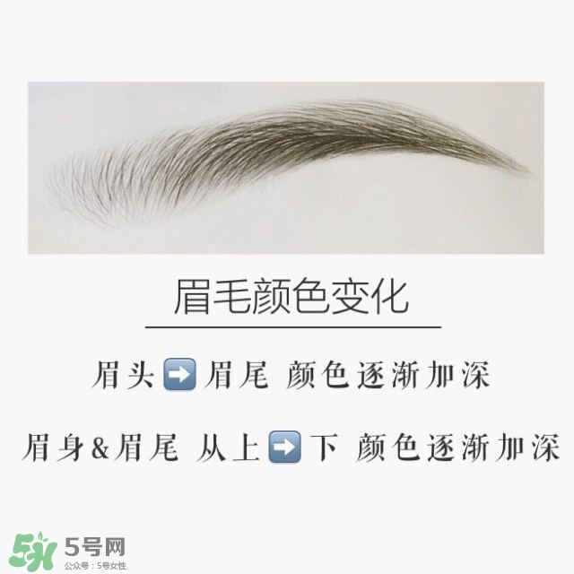 好看的眉形圖片 四種眉形畫(huà)法教程