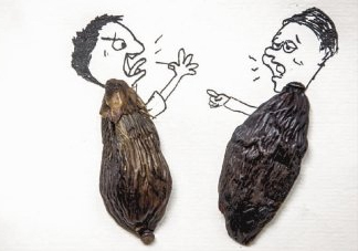口味王檳榔是什么東西？口味王檳榔怎么吃
