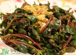 螞蚱菜怎么炒好吃？螞蚱菜做法有哪幾種